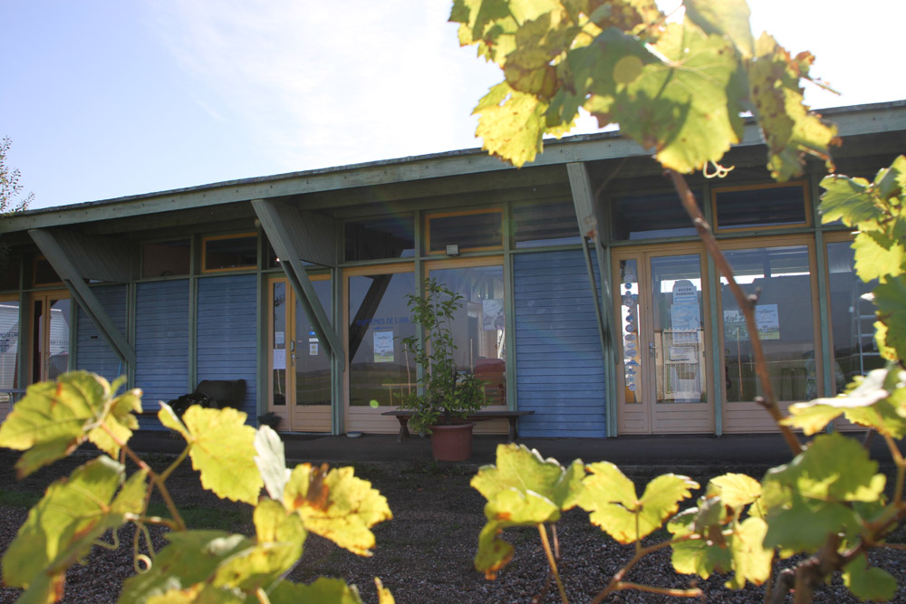 Le Club House et ses vignes